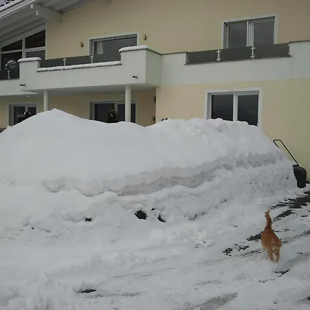 Apartmán Schatz Uderns