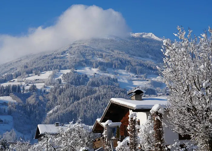 شقة Schatz أوديرنز